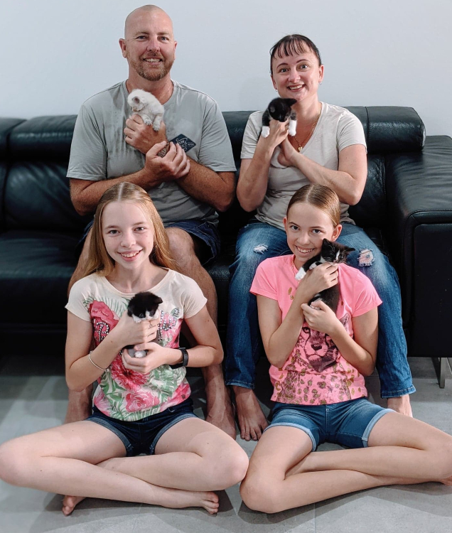 how to foster kittens as a family